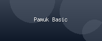 Pamuk Basic